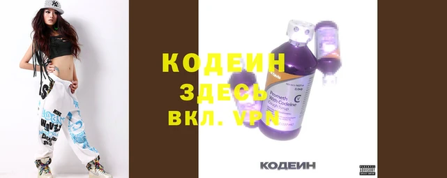 стаф Козельск